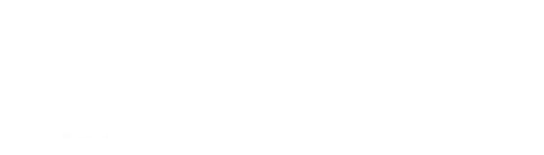 Exceed Basketball Logo